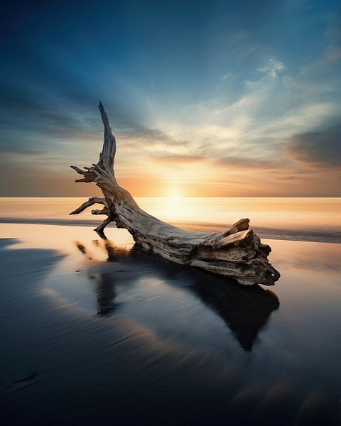Holz am Meer von fernlichtsicht