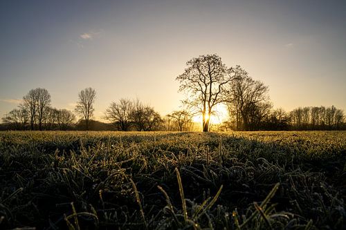 Ruhr bei Hattingen, Ruhrgebiet, Nordrhein-Westfalen, Deutschland von Alexander Ludwig