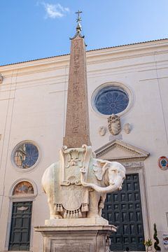 Rom - Piazza della Minerva von t.ART