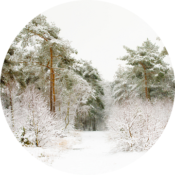 De weg door de winter van Nando Harmsen