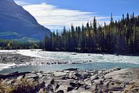 Silvery river
