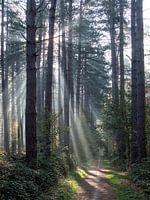 Herfst 2018 deel 11