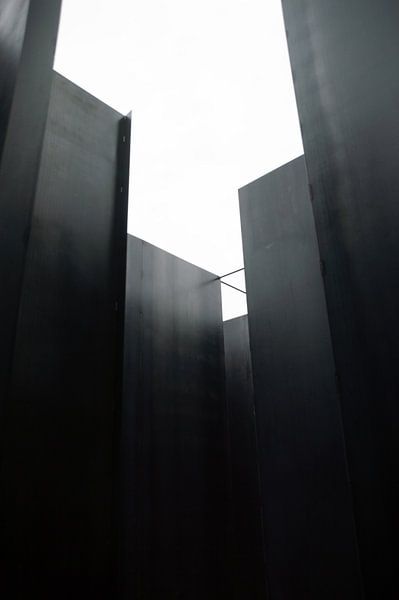 himmelhoch jauchzend von Stijn Vanelderen