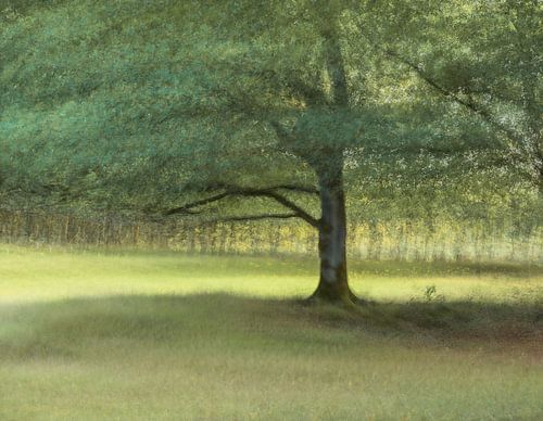 Wolfhezerheide part 83