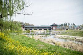 Woljeonggyo Bridge