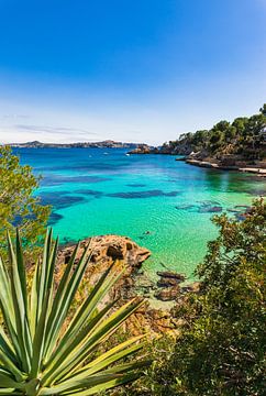 Beautiful view of bay beach in Cala Fornells, Mallorca by Alex Winter