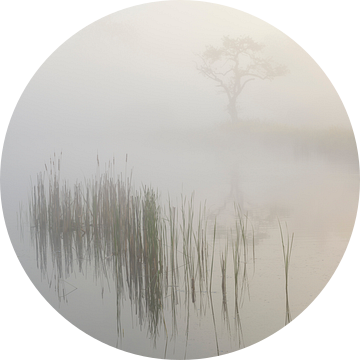 Ochtendstilte in de mist van Raoul Baart