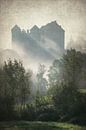 Kasteel Curemonte van Dan Courtice thumbnail
