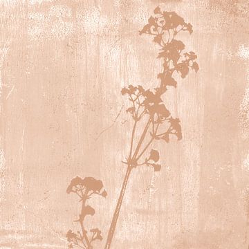 Botanische illustratie in retrostijl in licht terracotta van Dina Dankers