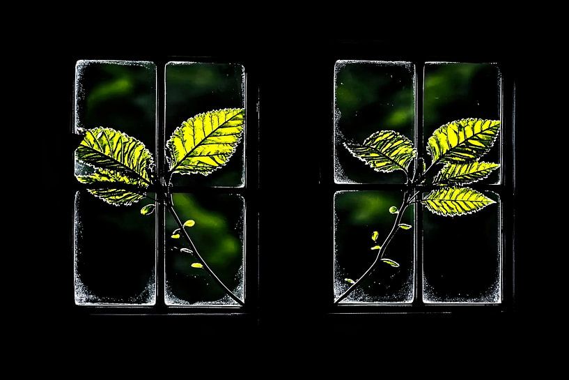 Grüne Blätter als Fensterdekoration von Imperial Art House