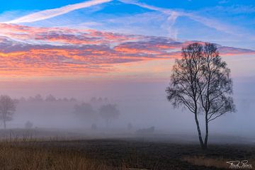 Fluistering van de dageraad van FotoCreatives