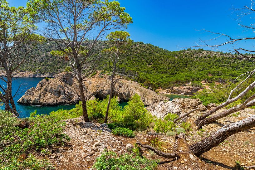 Eilandlandschap van baai strand Caló des Monjo, mooie kust van Alex Winter