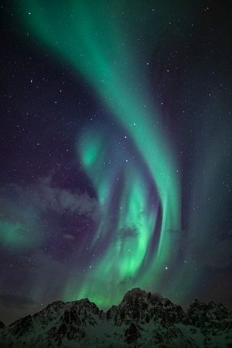 Nordlichter, Aurora Borealis über den Lofoten von Sjoerd van der Wal Fotografie