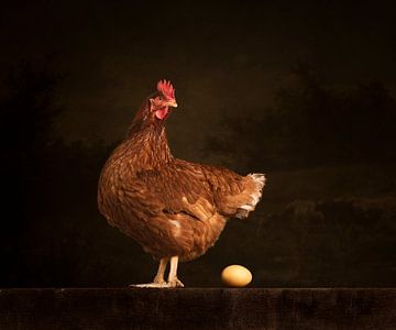 The chicken with the golden egg (2) by Mariska Vereijken