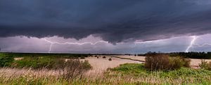 Oostvaardersplassen mit Blitzschlag.