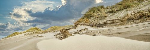 Niederländische Küste mit Strand und Dünen