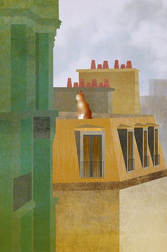 up on the roof | citycats 2