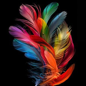 Coloured flower of feathers