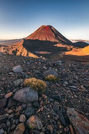 New Zealand Mount Ngaruhoe in the Morning by Jean Claude Castor