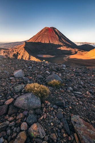Nieuw-Zeeland Mount Ngaruhoe in de ochtend