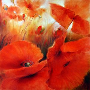 Roter Mohn