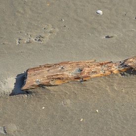 Aangespoeld hout van Op Het Strand