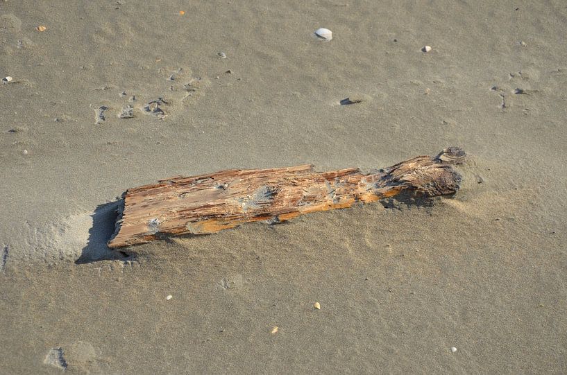 Aangespoeld hout van Op Het Strand
