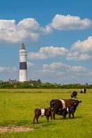 Vuurtoren "Langer Christian" op het eiland Sylt