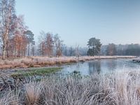 beegderheide