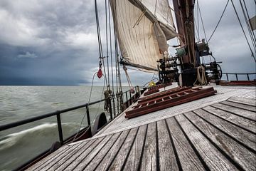 Hoist the Sails by Dick Carlier