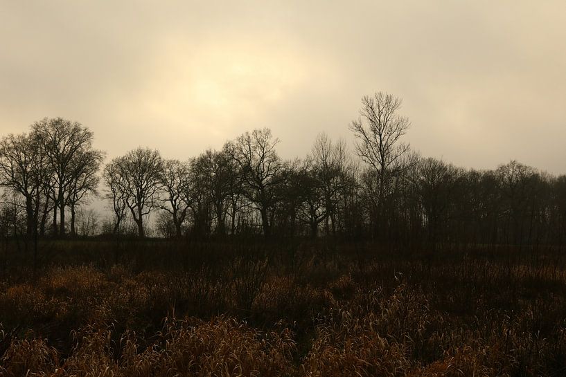Landscape with strange light by Pim van der Horst