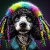 Caniche stylé avec des vibrations rasta colorées sur Ellen Van Loon