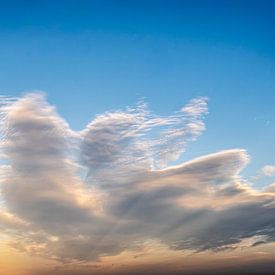 Cloud by Dieter Walther