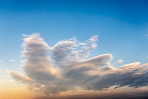 Nuage sur Dieter Walther