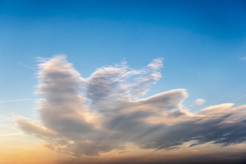 Wolke von Dieter Walther