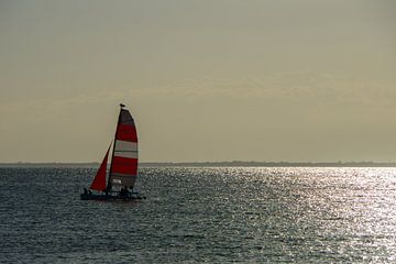 USA, Floride, Voilier dans le vent de l'océan avec les reflets du soleil sur adventure-photos