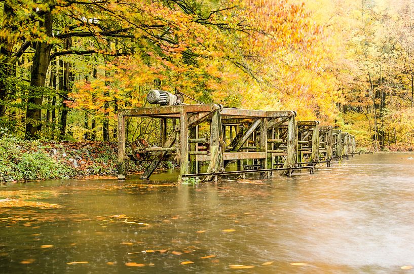 Rostige Maschinen im Herbstwald von Frans Blok