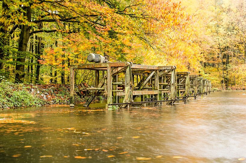 Roestige machines in een herfstbos van Frans Blok