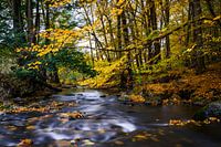 Autumn magic on a river