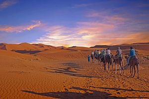 Caravane de chameaux dans le désert du Sahara au coucher du soleil sur Eye on You