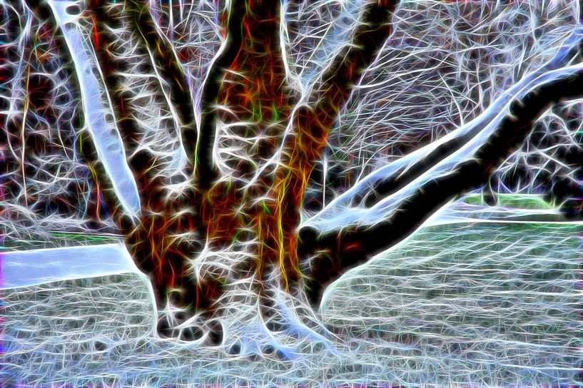 Besneeuwde boom in neonlook van Edgar Schermaul