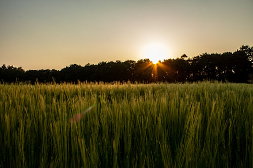 Sundown