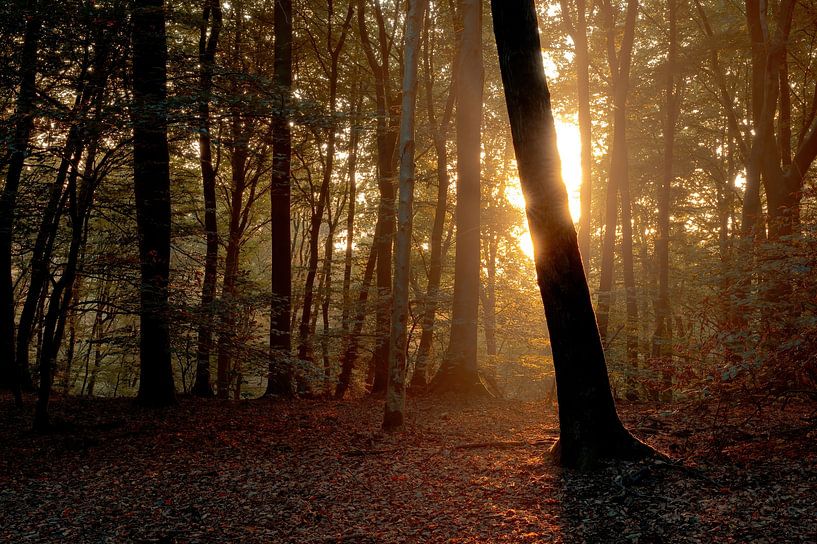 Duno estate part 26 by Tania Perneel