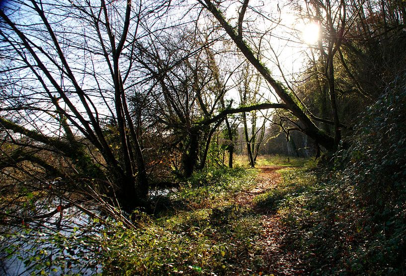 Ongerepte natuur by Marcel Tiemens