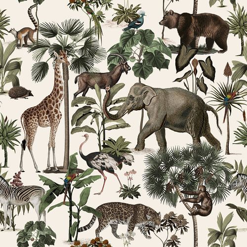 a Collection of Wildlife