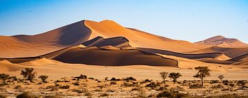 Zandheuvel in de woestijn van Namibië van Henk Derks