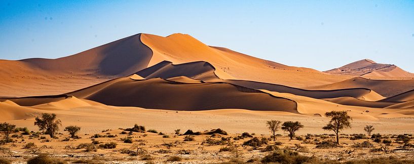 Sand mound in Namibia's desert by Henk Derks