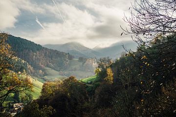 Schwarzwald im Herbst von Patrycja Polechonska