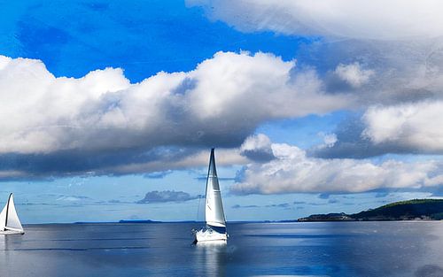 Sailing on a summer day