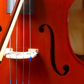 Cello van Thomas Jäger